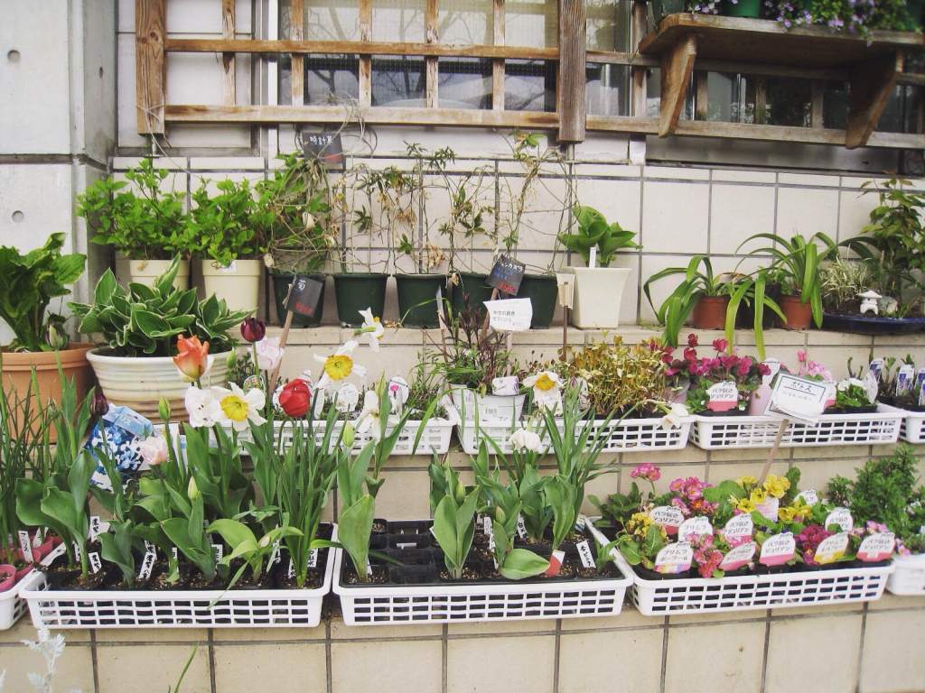 My inspiration : the greeny&nbsp;places