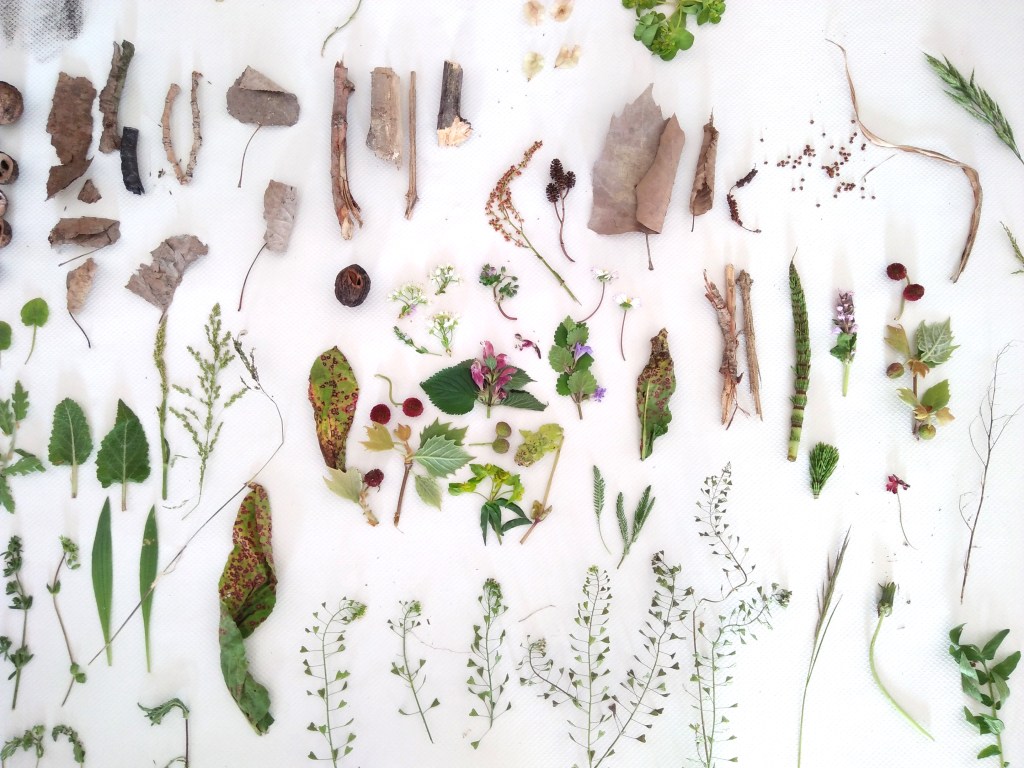 My Spring Illustration Course at Sàrmede 2017 – Yodchat*Tinyline (3)