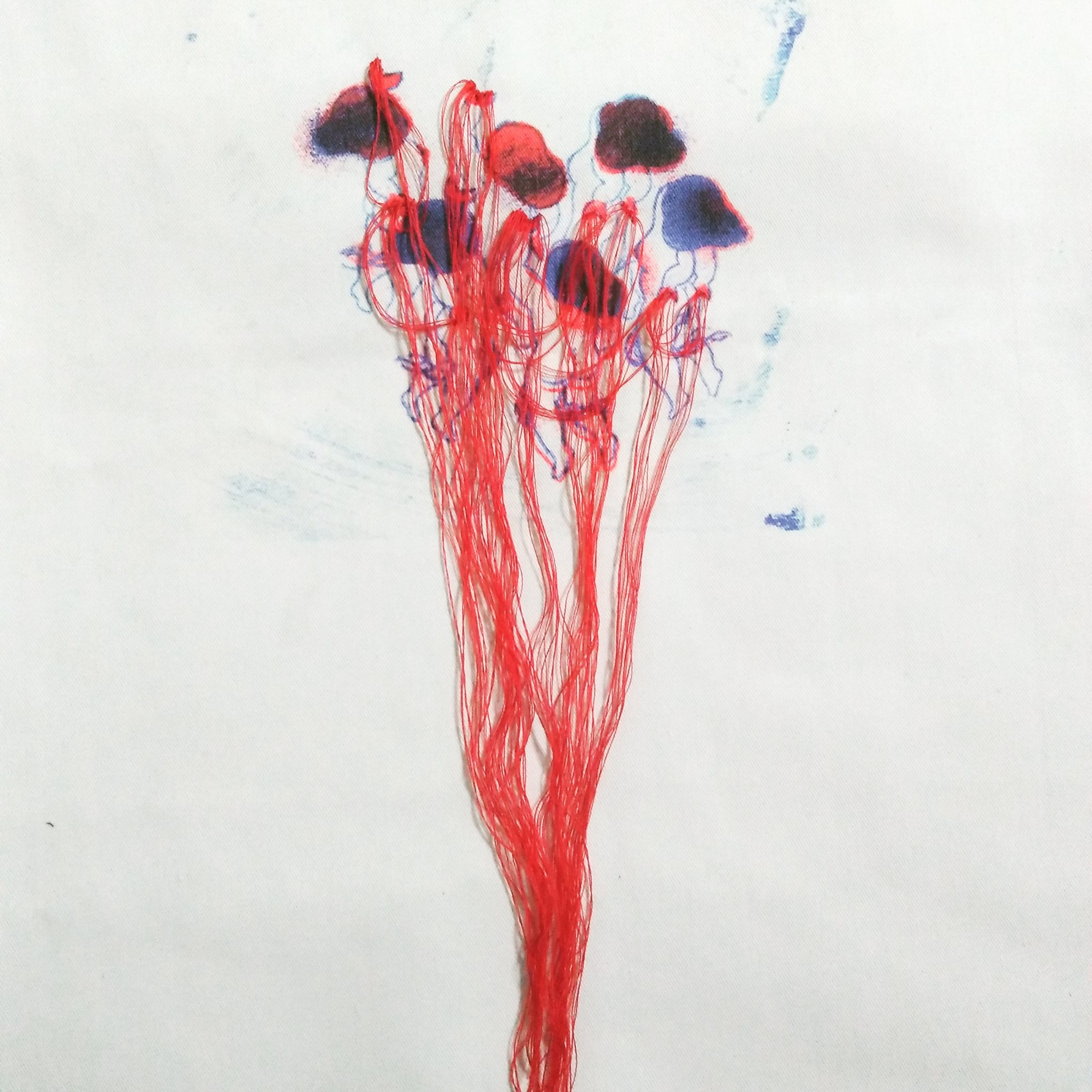 19807063_1414256585310397_20023674_o