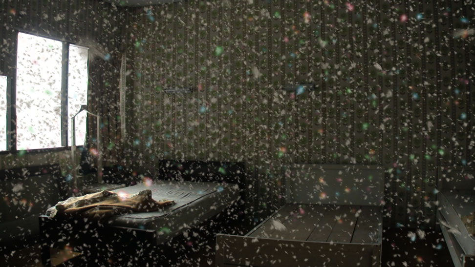 Apichatpong Weerasethakul_EMERALD