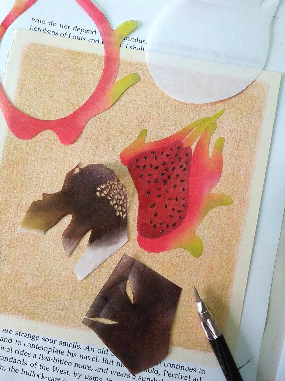 tropical fruits illustration_Yodchat Bupasiri_ยอดฉัตร บุพศิริ14