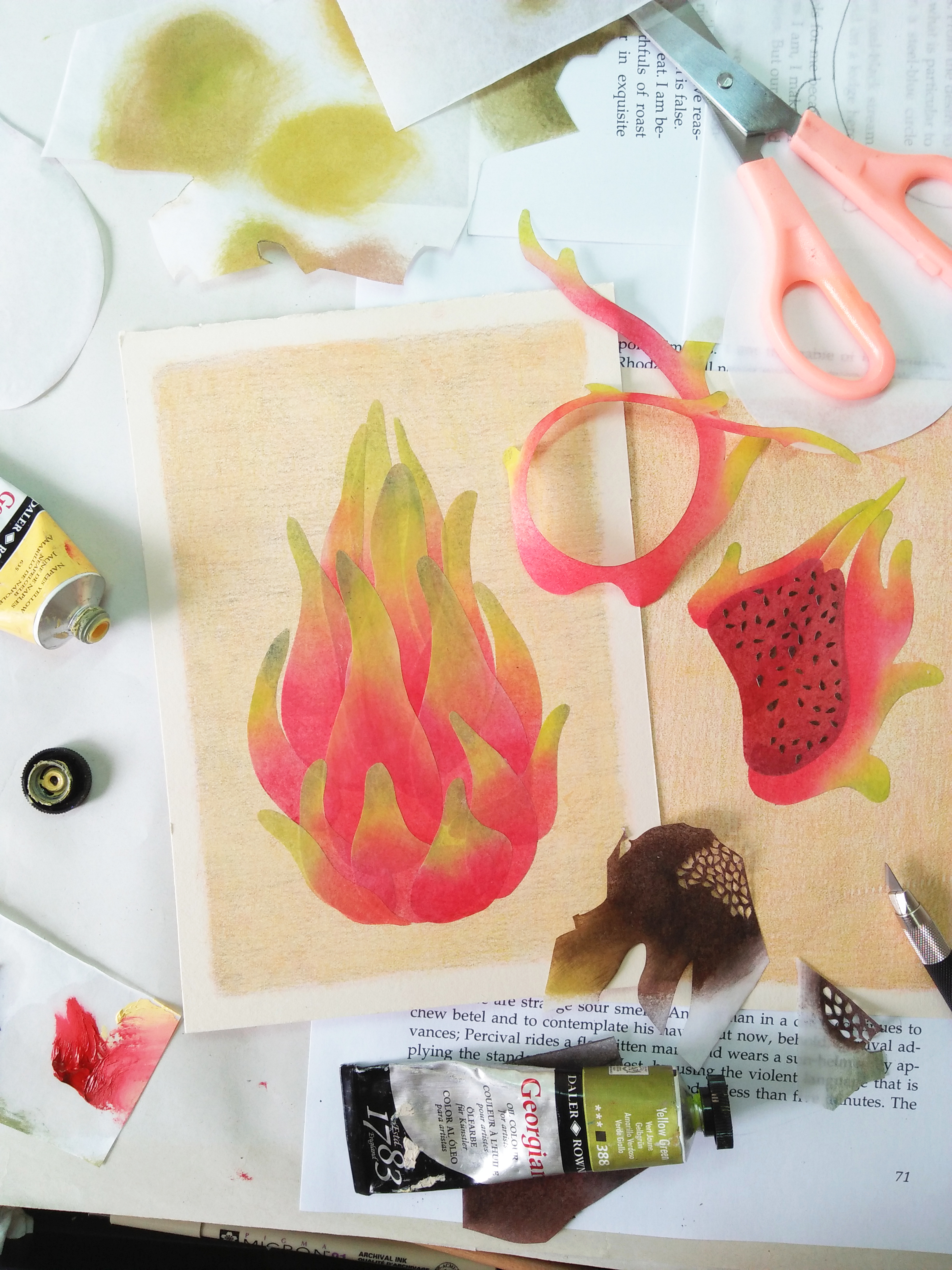 tropical fruits illustration_Yodchat Bupasiri_ยอดฉัตร บุพศิริ2