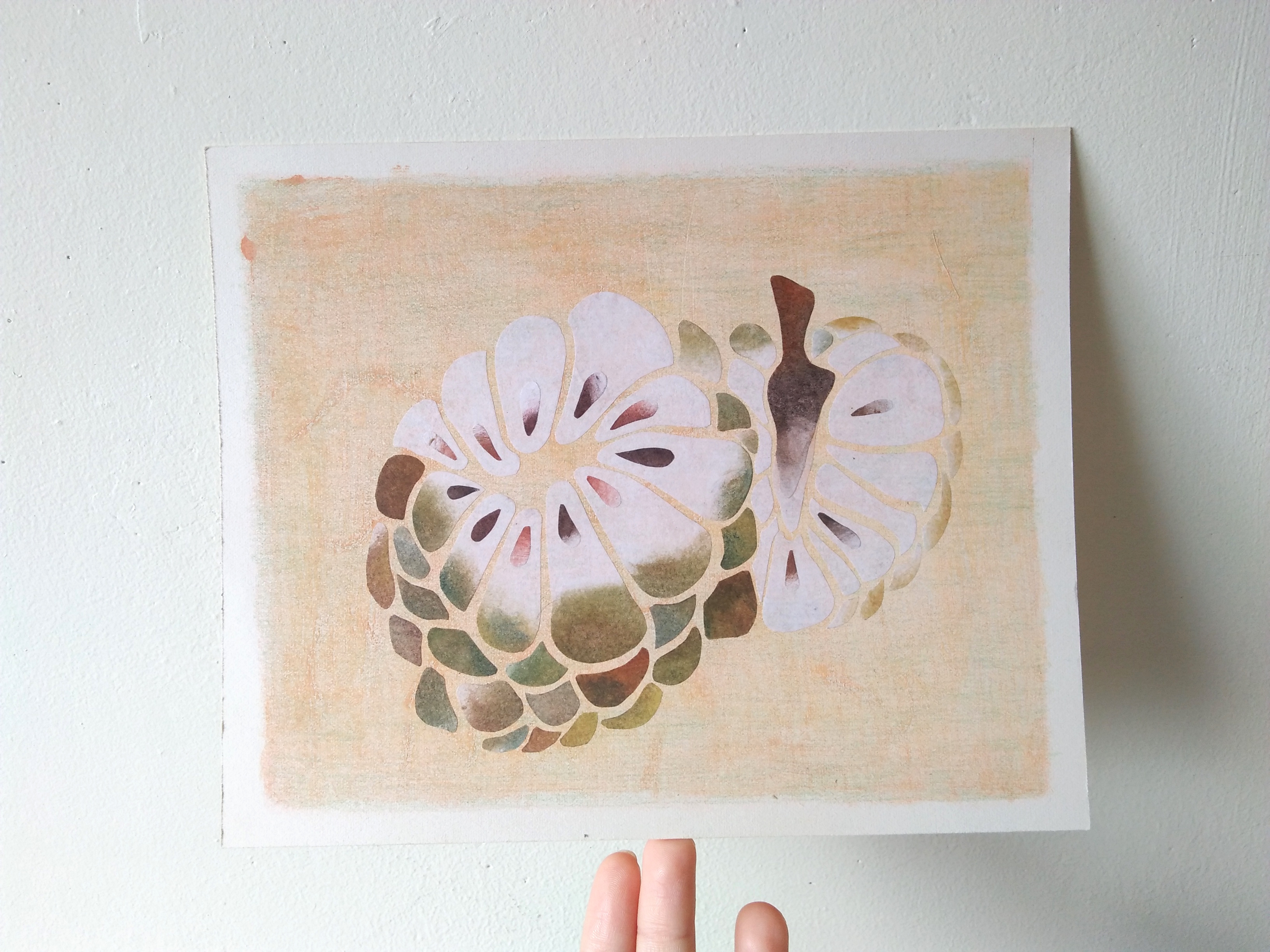 tropical fruits illustration_Yodchat Bupasiri_ยอดฉัตร บุพศิริ3