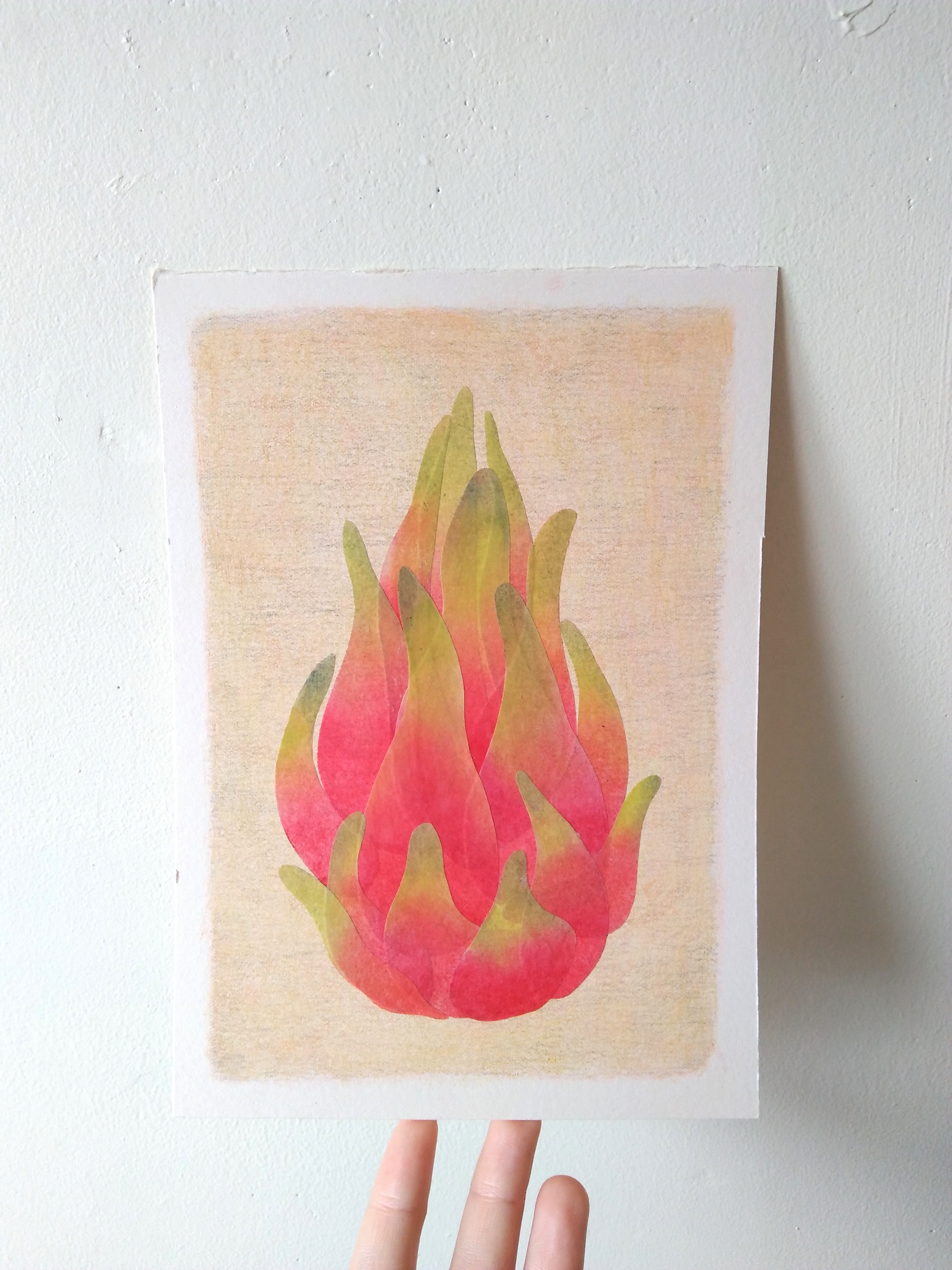 tropical fruits illustration_Yodchat Bupasiri_ยอดฉัตร บุพศิริ5