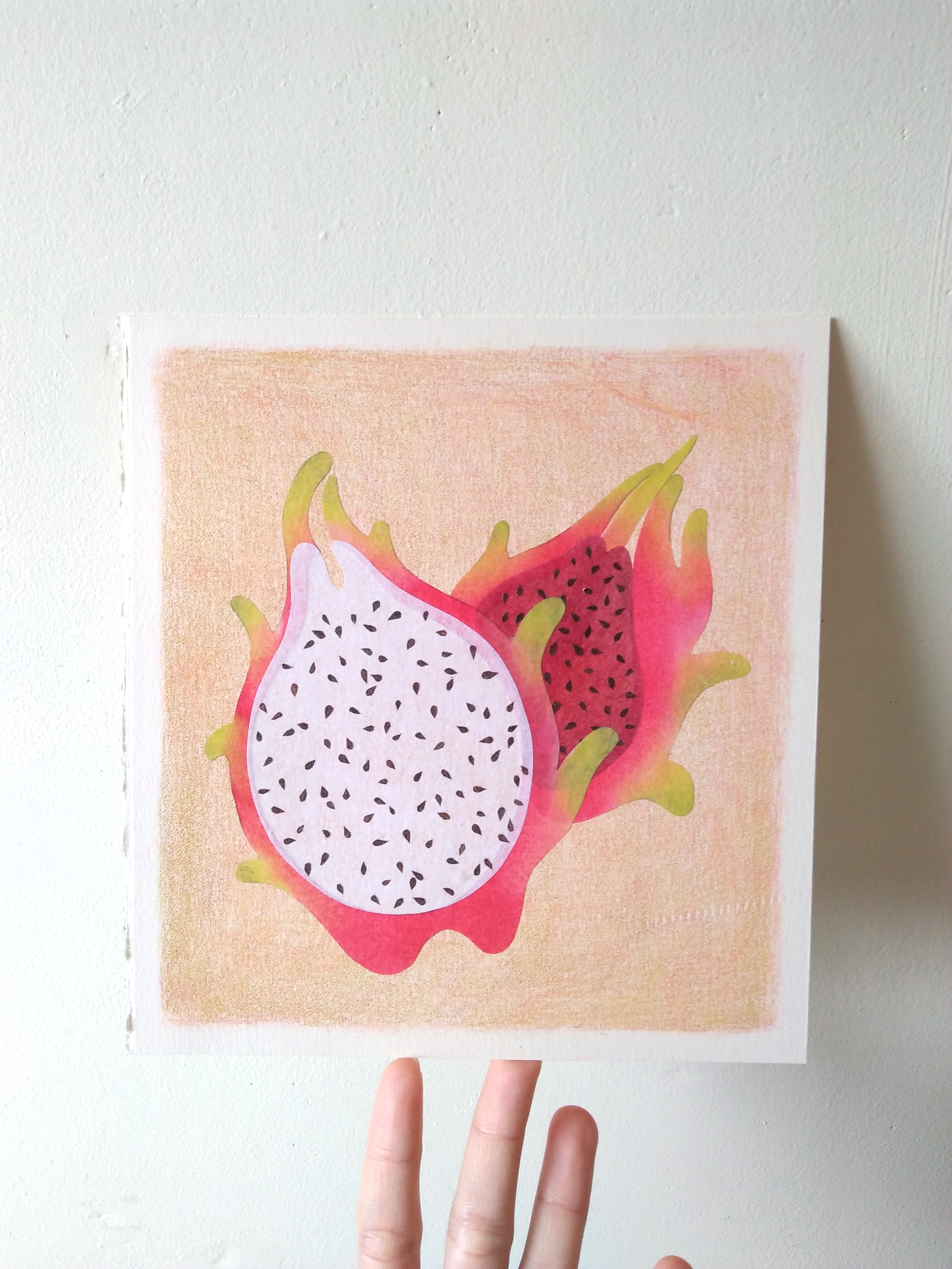 tropical fruits illustration_Yodchat Bupasiri_ยอดฉัตร บุพศิริ6