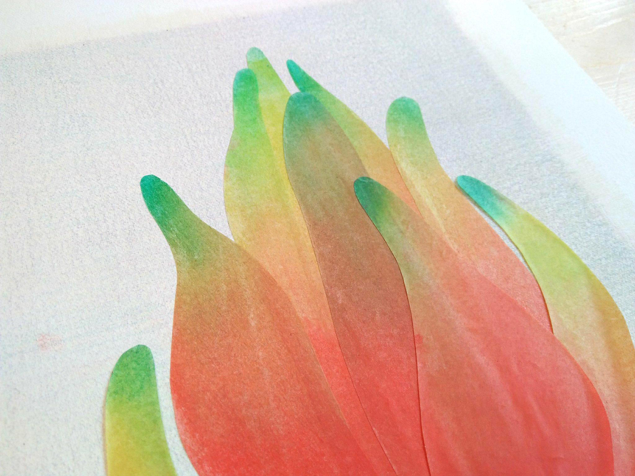 27048934_1596309203771800_1434081444_o